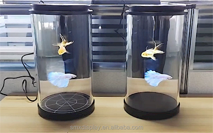 5.5 / 21.5/75 inç hologram silindir kutusu 3d hologram silindir ai interaktif için gösterim müzesi 3