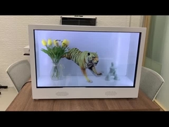 65 inç 3D Hologram Ekran Hologram Piramit Şeffaf Vitrinler Video Holobox