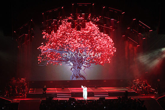 Kalite Şeffaf Holografik Projeksiyon Perdesi Poliamid Malzeme 3D Hologram Gösterisi Fabrika