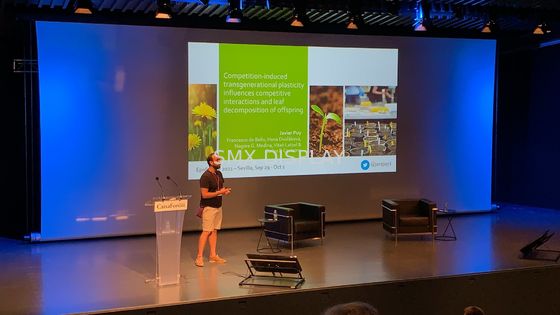 Kalite RF Uzaktan Kumandalı 350 inç Büyük Motorlu Projeksiyon Perdesi Fabrika